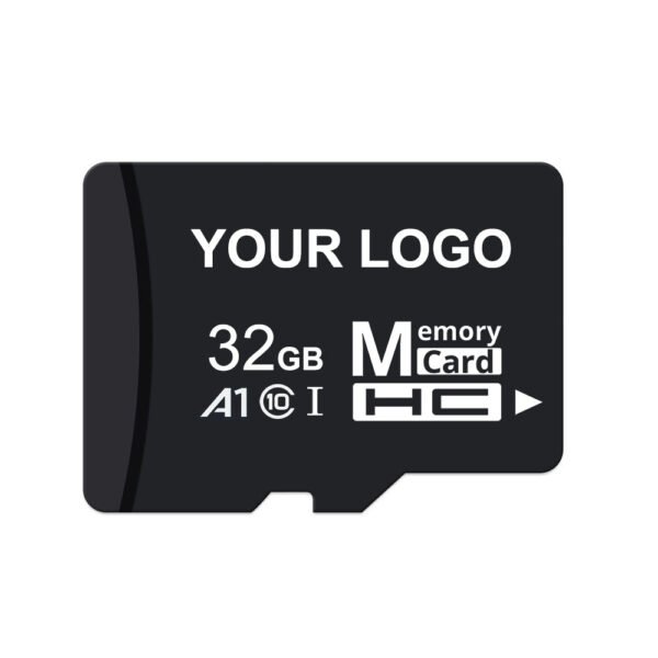 32 gigabyte micro sd card class 10