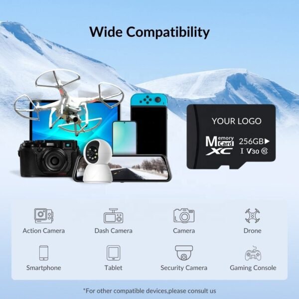 256 sd micro card