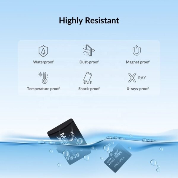 32 gigabyte micro sd card class 10